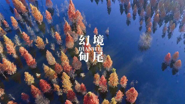 逗小猴开心系列192