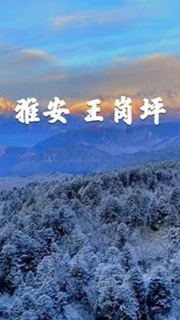 白城市省所医院(治布病)合作医疗怎么报销的?