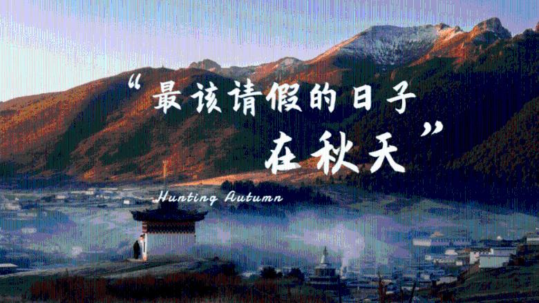 豌豆怎么炒-专业有问必答平台