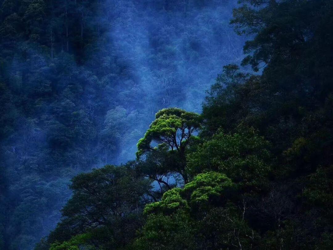古代皇极数的算术,博士也难以解开,失传了吗?