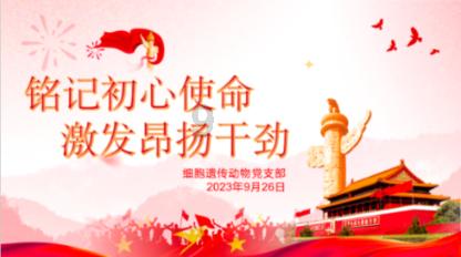 卧底夫妻假戏成真，妻子牺牲后丈夫不再娶，7年后“亡妻”找上门