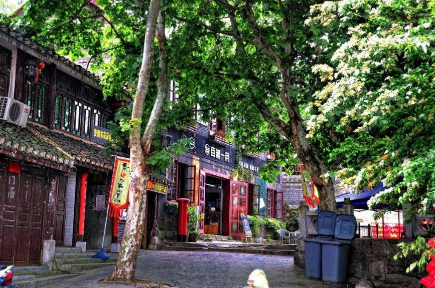 喜报！苍南人结婚的地方，升级了