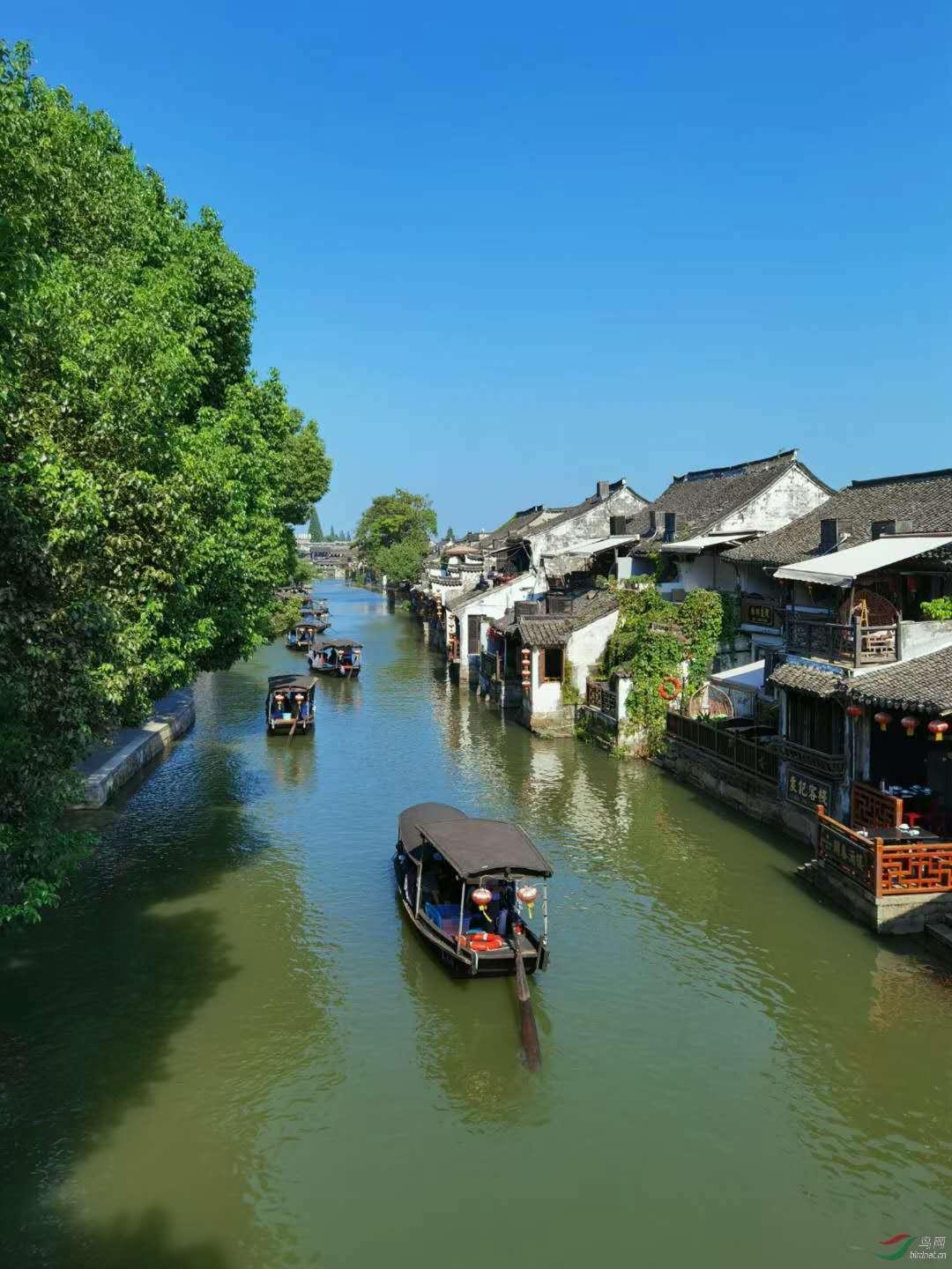 复仇机器人中文版