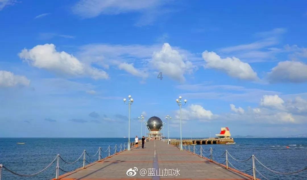 放飞笼中鸟